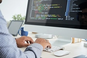 customised software development